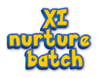 The Flash Academy-XI- Regular batch